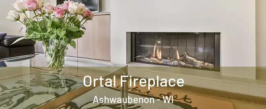  Ortal Fireplace Ashwaubenon - WI